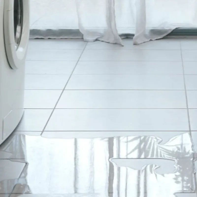 Appliance Leak Cleanup in Dahlgren, VA