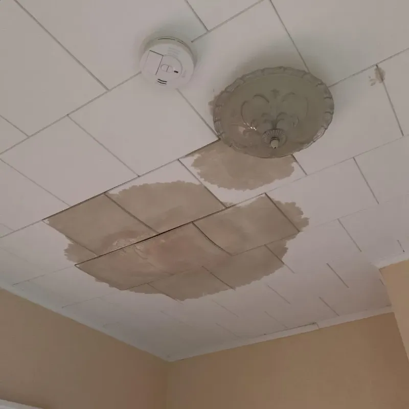 Ceiling Water Damage Repair in Dahlgren, VA