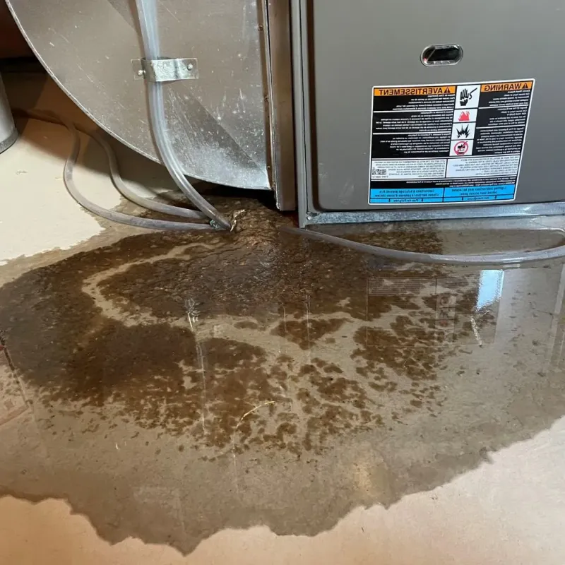 Pipe Burst and Leak Restoration in Dahlgren, VA