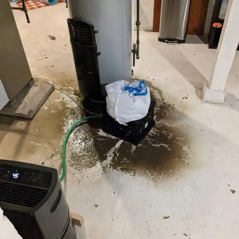 Sewage Backup Cleanup Service in Dahlgren, VA